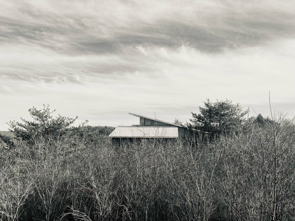 The Wedge cabin rising above the treeline in Hocking Hills