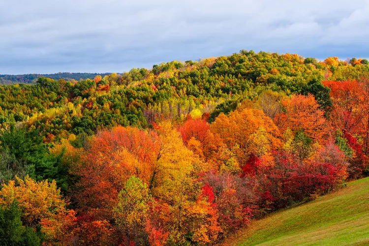 Fall foliage across the forested hills of Hocking Hills, Ohio